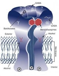 Benzodiazepines