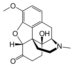 Oxycodone