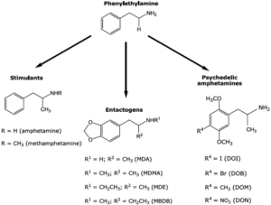 MDMA analogues